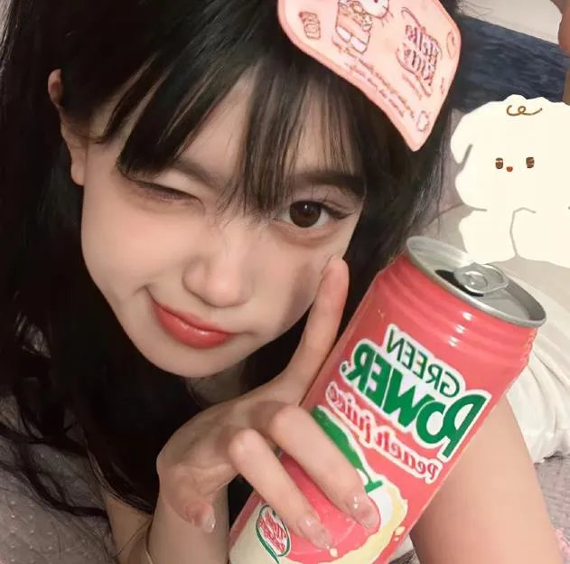 完美的独裁国家