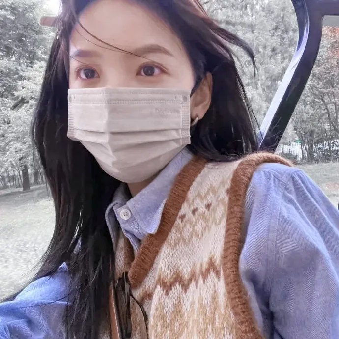 天梯：蔡国强的艺术